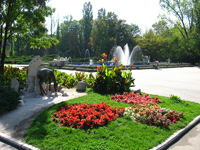 Constructii Edilitare - Parcuri